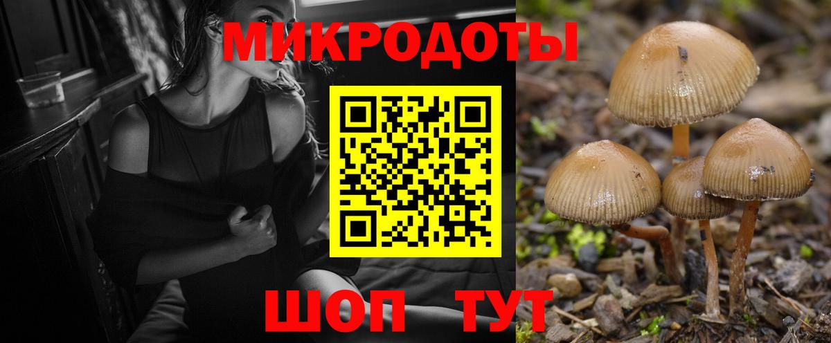 Свободный  Псилоцибиновые грибы прущие грибы  Вход с VPN  Псилоцибиновые грибы прущие грибы 